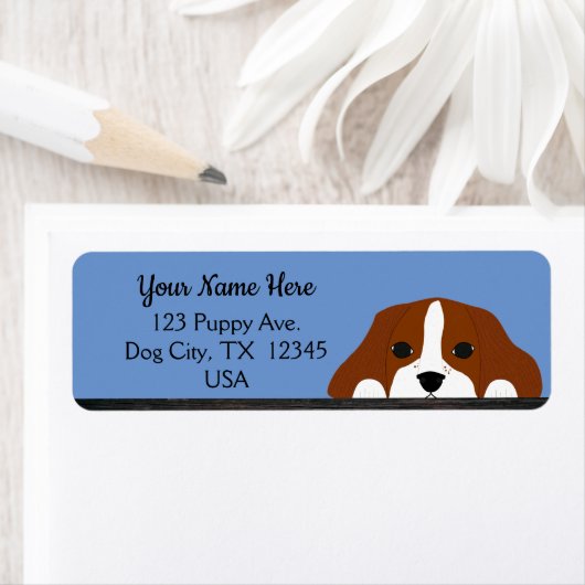 Blue Cavalier King Charles Spaniel Puppy Dog (Insitu)