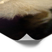 Blue Chick Poster (Ecke)