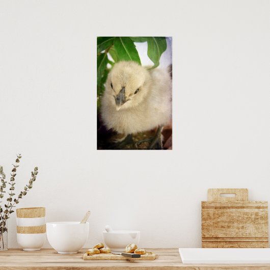 Blue Chick Poster (Küche)