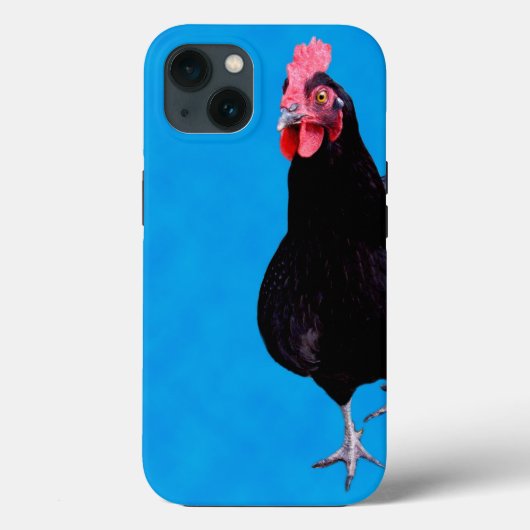 Blue Chicken Strut, iPhone 13 Case (Rückseite)