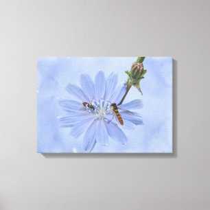 Blue Chicory Wildblume and Bemics Leinwanddruck