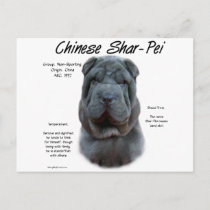 Blue Chinese Shar Pei History, Sharpei, Shar-pei Postkarte