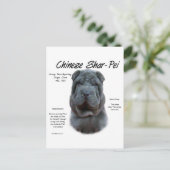 Blue Chinese Shar Pei History, Sharpei, Shar-pei Postkarte (Stehend Vorderseite)