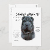 Blue Chinese Shar Pei History, Sharpei, Shar-pei Postkarte (Vorne/Hinten)