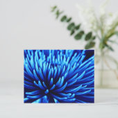 Blue Chrysanthema Blume Postkarte (Stehend Vorderseite)