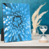 Blue Chrysanthemum Fotoplatte (Seite)