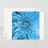 Blue Chrysanthemum Postkarte (Vorne/Hinten)