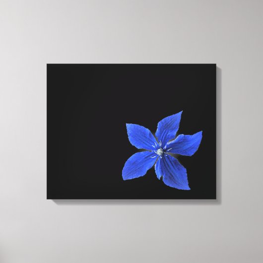 Blue Clematis auf schwarz ummantelten Canvas Leinwanddruck (Vorderseite)