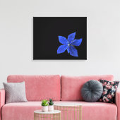 Blue Clematis auf schwarz ummantelten Canvas Leinwanddruck (Insitu (Wohnzimmer))