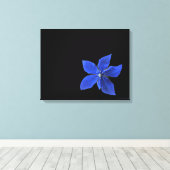 Blue Clematis auf schwarz ummantelten Canvas Leinwanddruck (Insitu (Holzboden))