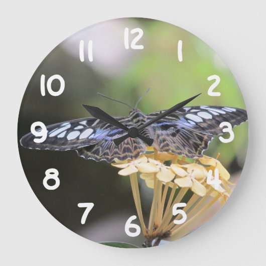 Blue Clipper Butterfly Große Wanduhr (Vorderseite)