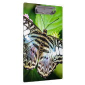 Blue Clipper Butterfly Klemmbrett (Rechts)