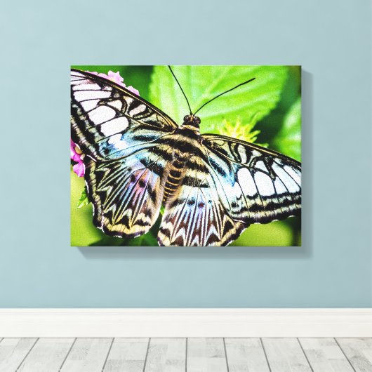 Blue Clipper Butterfly Leinwanddruck (Insitu (Holzboden))