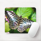 Blue Clipper Butterfly Mousepad (Mit Mouse)