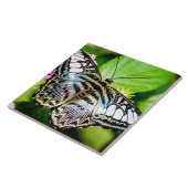 Blue Clipper Fliese (Seite)