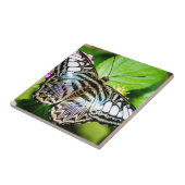 Blue Clipper Fliese (Seite)