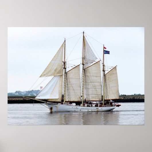 Blue Clipper Poster (Vorne)