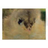 Blue Cochin Chick (Vorderseite (Horizontal))