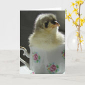 Blue Cochin Chick Karte (Gelbe Blume)