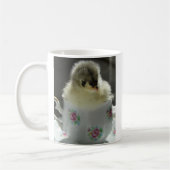 Blue Cochin Chick Teacup Kaffeetasse (Links)