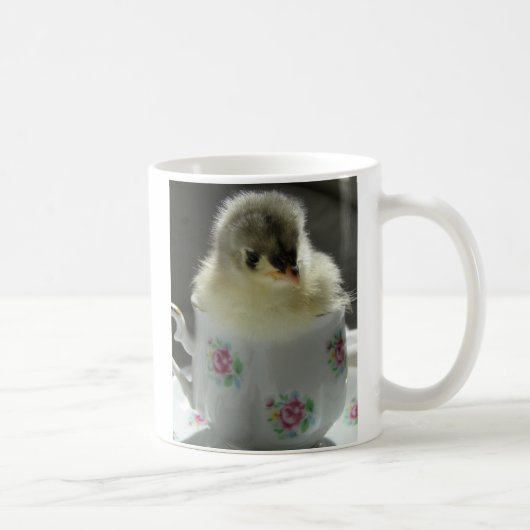 Blue Cochin Chick Teacup Kaffeetasse (Rechts)