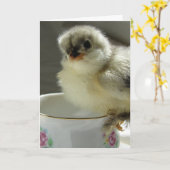 Blue Cochin Chick - Teacup Karte (Gelbe Blume)