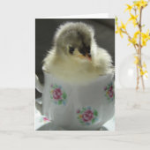 Blue Cochin Chick Teacup Karte (Gelbe Blume)