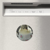 Blue Cochin Chick Teacup Magnet (In Situ (Geschirrspüler))