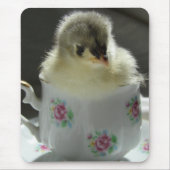 Blue Cochin Chick Teacup Mousepad (Vorne)