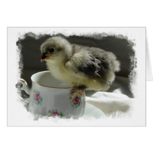 Blue Cochin Cick on Teacup with Border