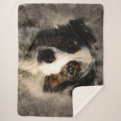 Blue Collie Sherpadecke (Vorderseite)