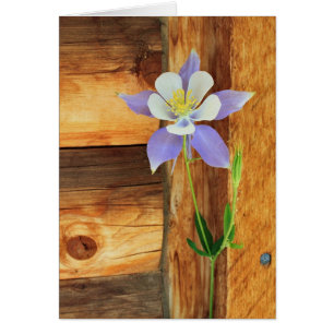 Blue Columbine and Wood Jeden Anlaß Grußkarte