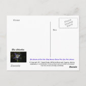 Blue Columbine at Fern Falls Postkarte (Rückseite)