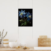Blue Columbine Blumen Art Print Poster (Küche)