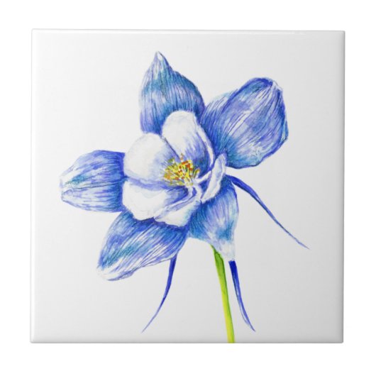 Blue Columbine Fliese (Vorderseite)