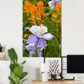 Blue Columbine Poster (Heimbüro)