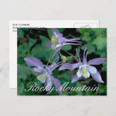 Blue Columbine, Rocky Mountain National Park Postkarte (Vorne/Hinten)