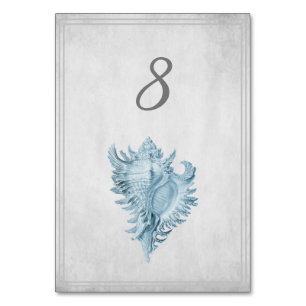 Blue Conch Muschel Tischnummer Card