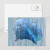 Blue Conch Seashell Art Postkarte (Vorne/Hinten)