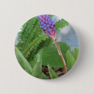 Blue Cone Bromeliad Blume Button