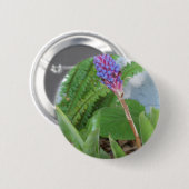 Blue Cone Bromeliad Blume Button (Vorne & Hinten)