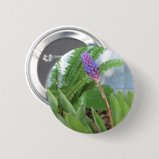 Blue Cone Bromeliad Blume Button (Vorne & Hinten)