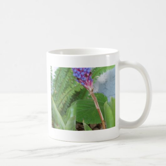 Blue Cone Bromeliad Blume Kaffeetasse (Rechts)