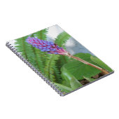 Blue Cone Bromeliad Blume Notizblock (Rechte Seite)
