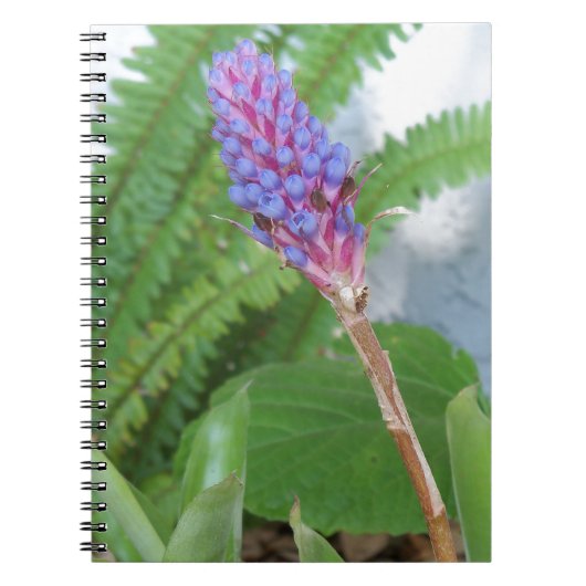 Blue Cone Bromeliad Blume Notizblock (Vorderseite)