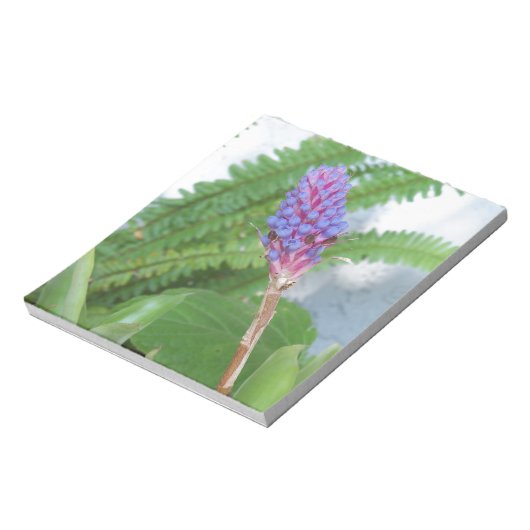 Blue Cone Bromeliad Blume Notizblock (Rotiert)