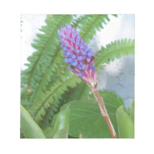 Blue Cone Bromeliad Blume Notizblock