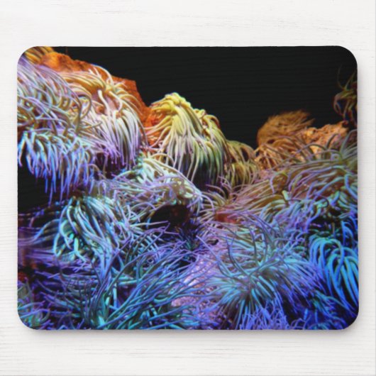 Blue Coral Mousepad (Vorne)