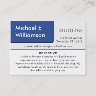 Blue Corner RESUME Business Cards Visitenkarte