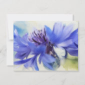 Blue Cornflower Bachelors Button Note Card Set Mitteilungskarte (Vorderseite)